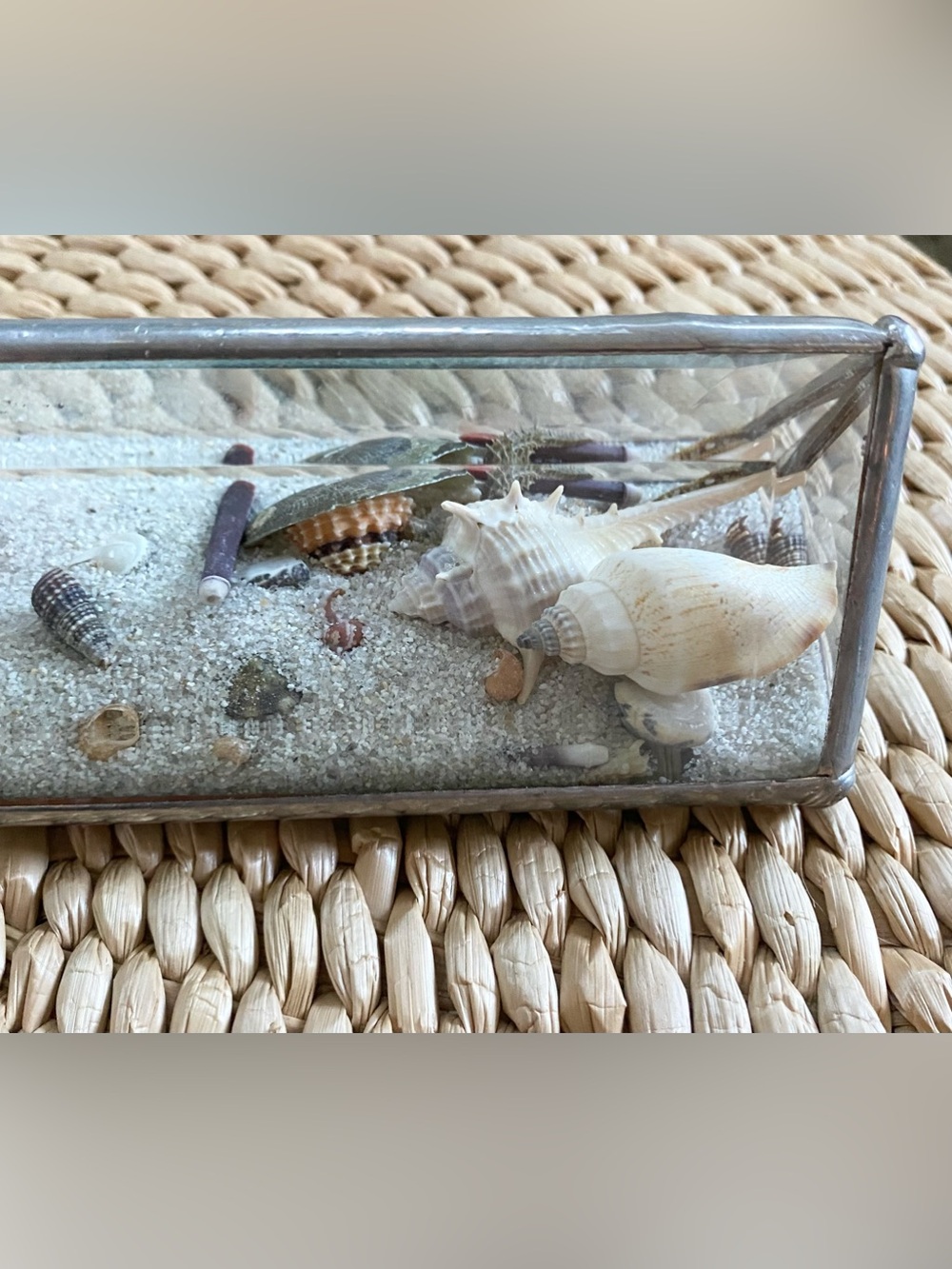 VTG Kaleidoscope Stained Beveled Glass Triangle Beach Sand Seashells Starfish - Picture 7 of 8
